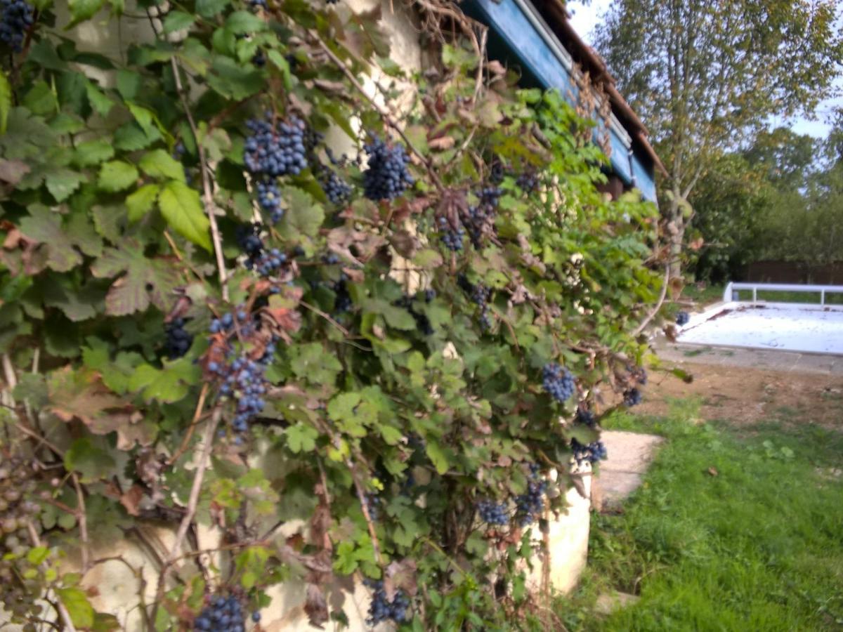 Nicely Renovated Wine-Grower House Fargues-Saint-Hilaire Buitenkant foto